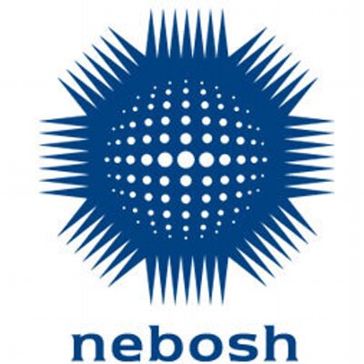 Logo NEBOSH Safety is the Key Ltd